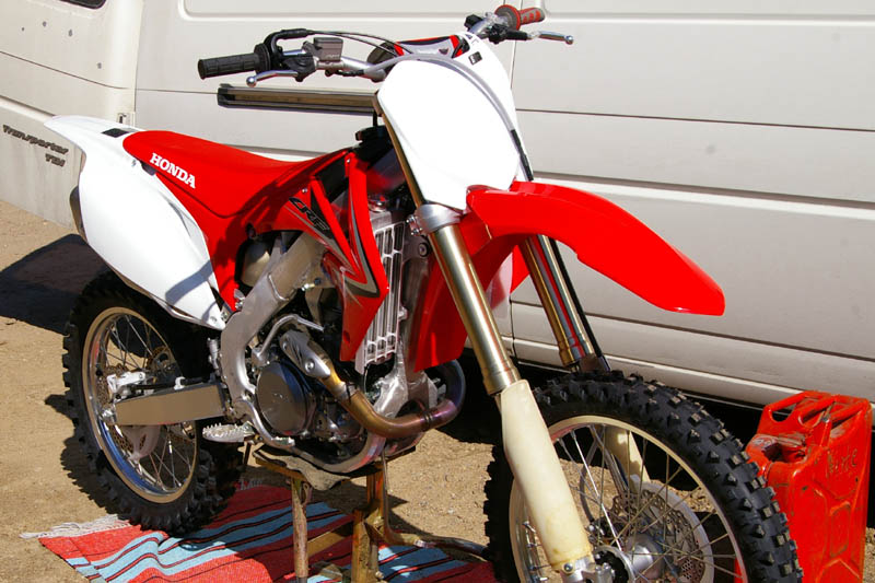 IMGP5391